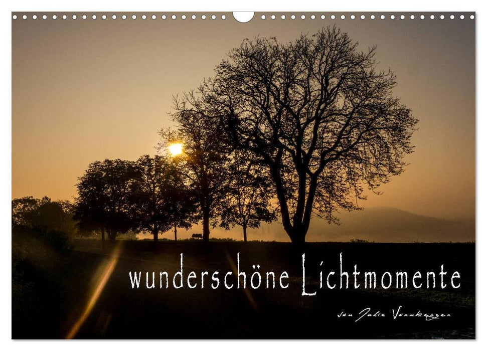 wunderschöne Lichtmomente (CALVENDO Wandkalender 2026)