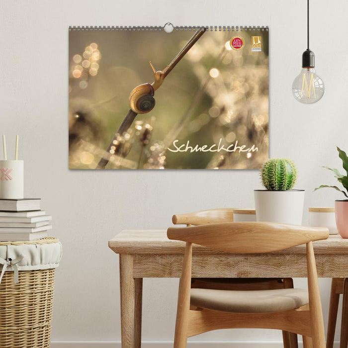 Schneckchen (CALVENDO Wandkalender 2026)