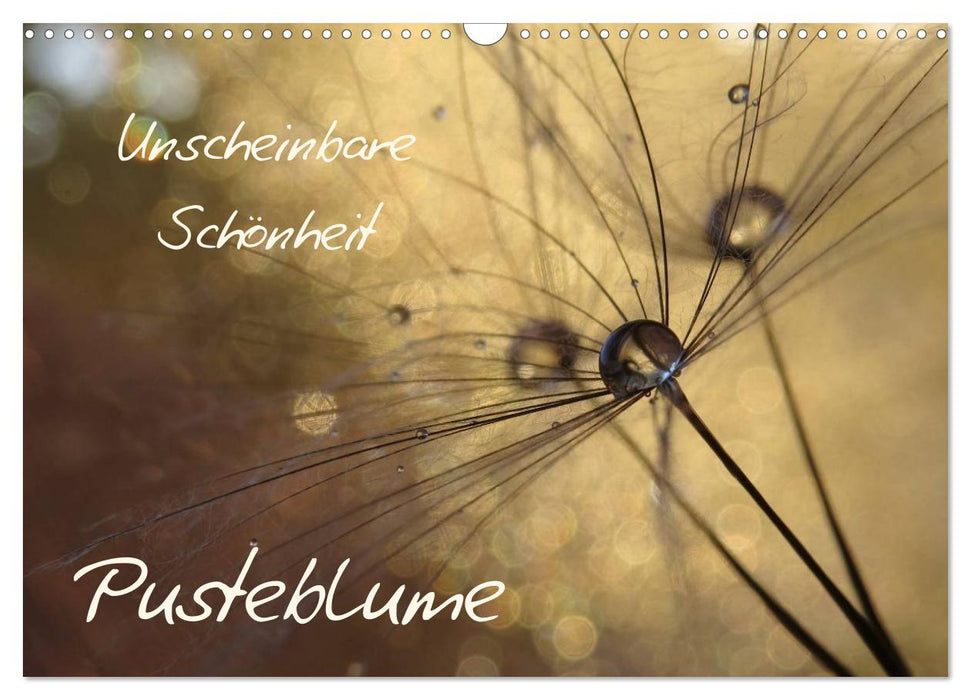 Unscheinbare Schönheit - Pusteblume (CALVENDO Wandkalender 2026)