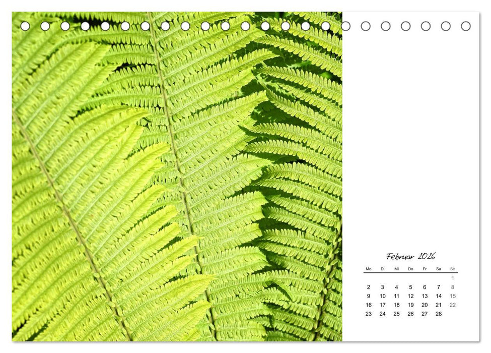 Blattkunst (CALVENDO Wandkalender 2026)
