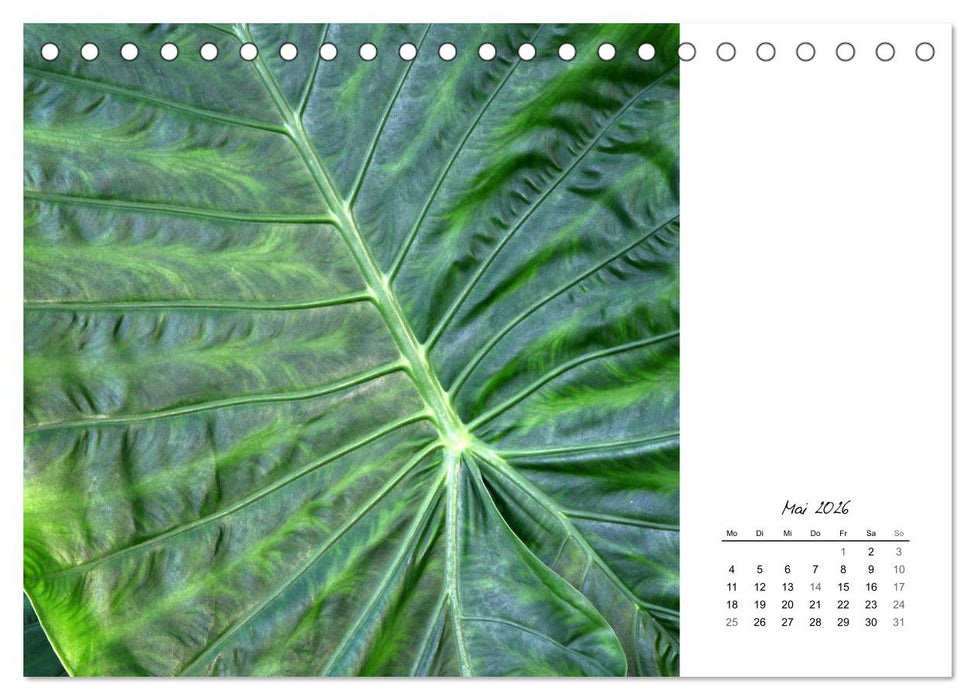 Blattkunst (CALVENDO Wandkalender 2026)