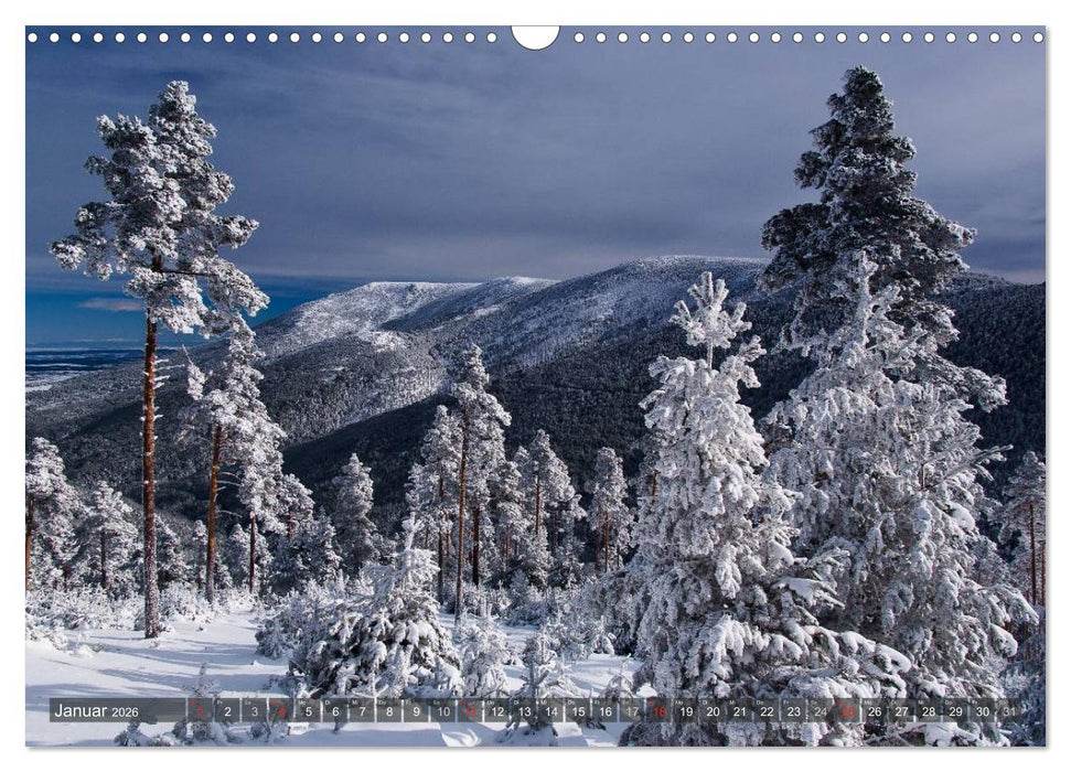 Ausflugziele um Madrid (CALVENDO Wandkalender 2026)