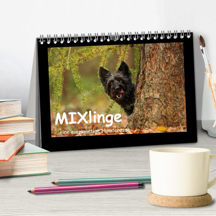 MIXlinge (CALVENDO Wandkalender 2026)