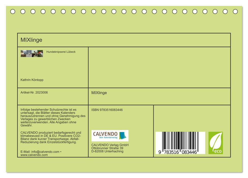 MIXlinge (CALVENDO Wandkalender 2026)