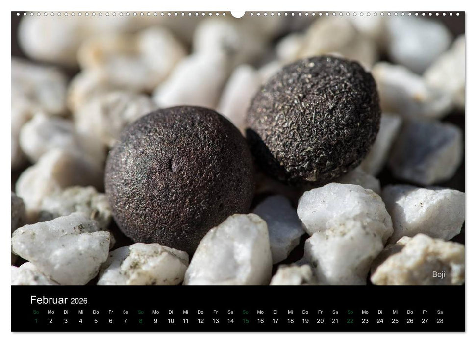 Edelsteine. Wunder der Natur (CALVENDO Premium Wandkalender 2026)