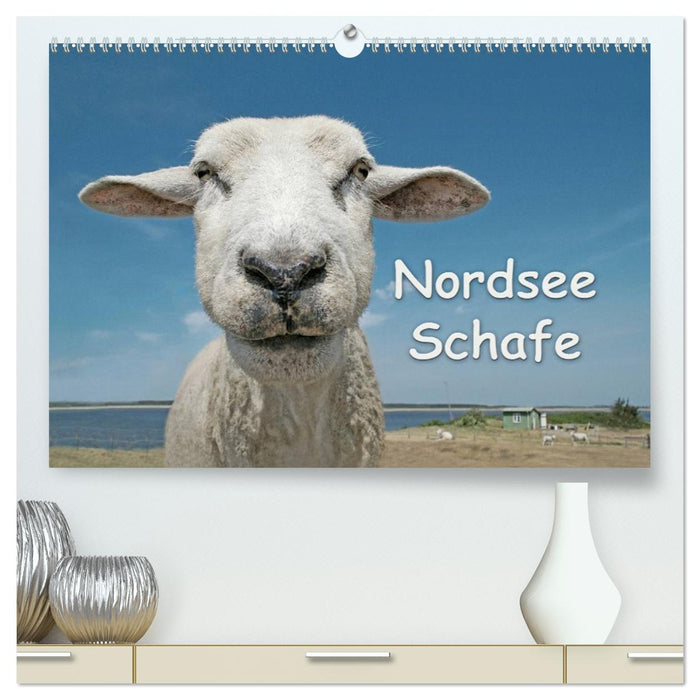 Nordsee Schafe (CALVENDO Premium Wandkalender 2026)