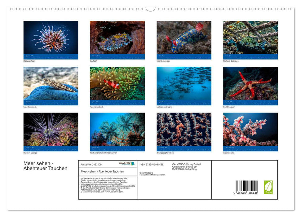Meer sehen - Abenteuer Tauchen (CALVENDO Premium Wandkalender 2026)