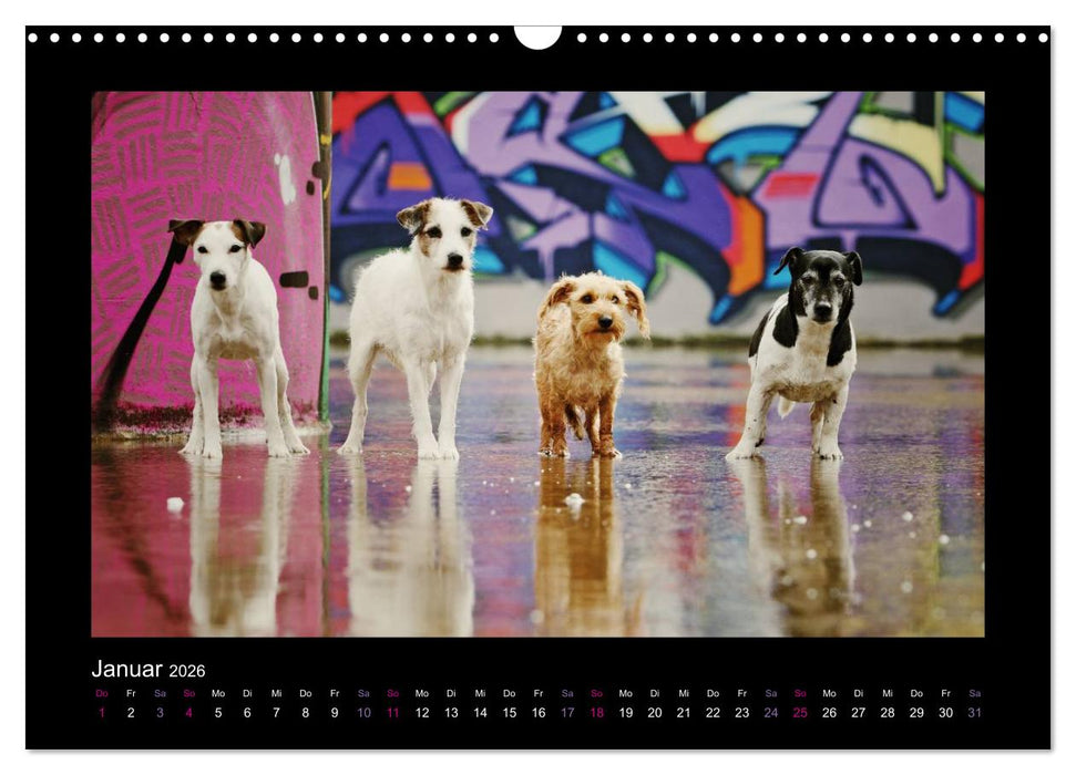 Die Parsons (CALVENDO Wandkalender 2026)