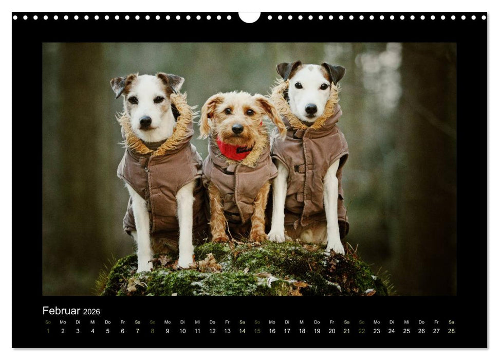 Die Parsons (CALVENDO Wandkalender 2026)