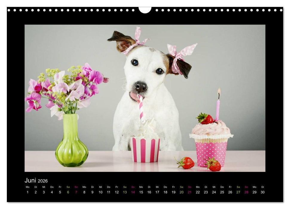 Die Parsons (CALVENDO Wandkalender 2026)