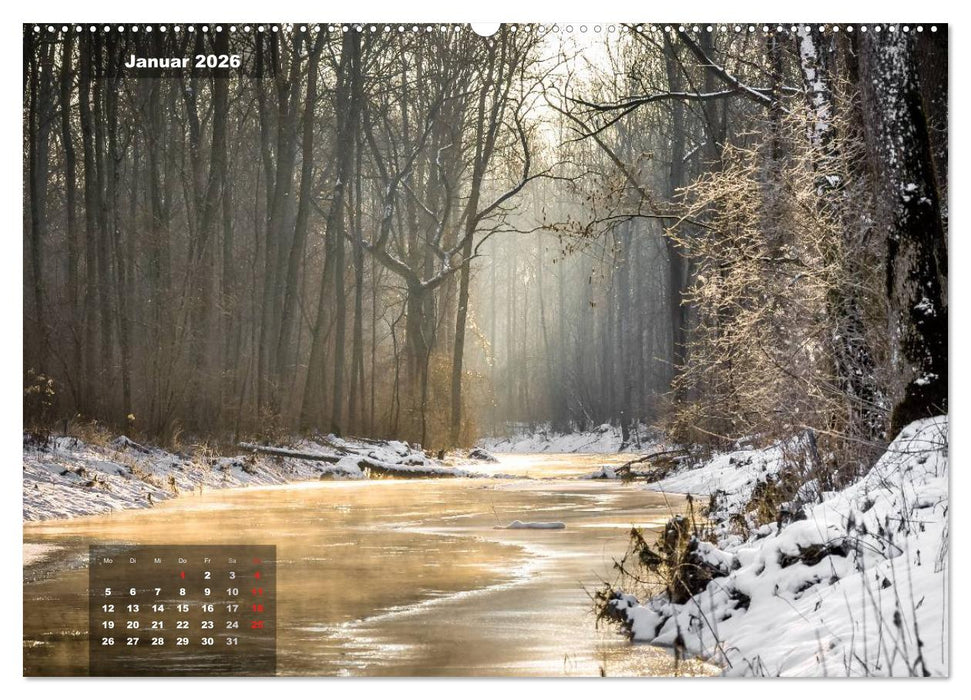 Zauberhafte Waldlandschaften (CALVENDO Premium Wandkalender 2026)