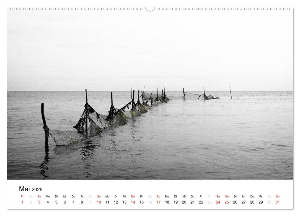 schönes Texel (CALVENDO Premium Wandkalender 2026)