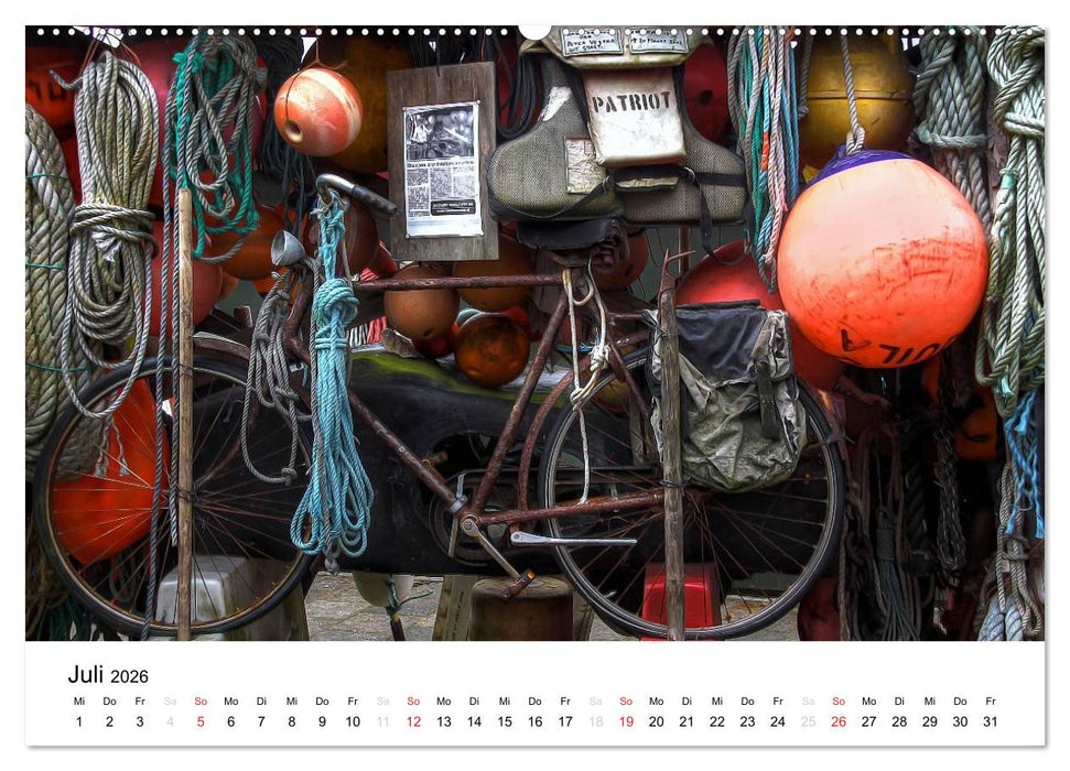 schönes Texel (CALVENDO Premium Wandkalender 2026)