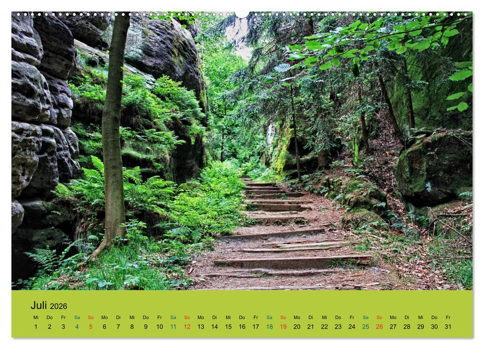 Im Elbsandstein - Sächsisch-böhmische Schweiz (CALVENDO Premium Wandkalender 2026)
