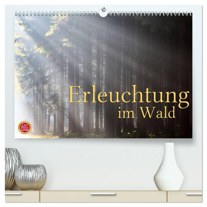 Erleuchtung im Wald (CALVENDO Premium Wandkalender 2026)
