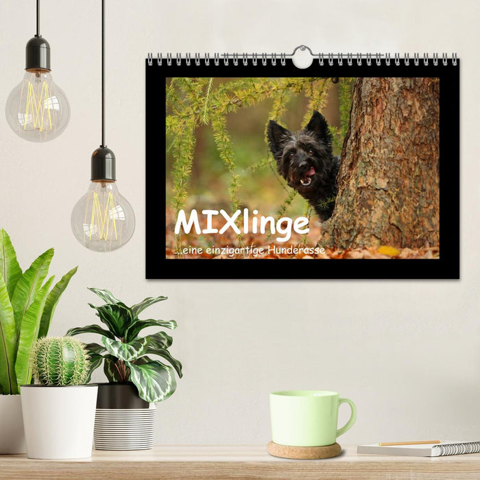 MIXlinge (CALVENDO Wandkalender 2026)
