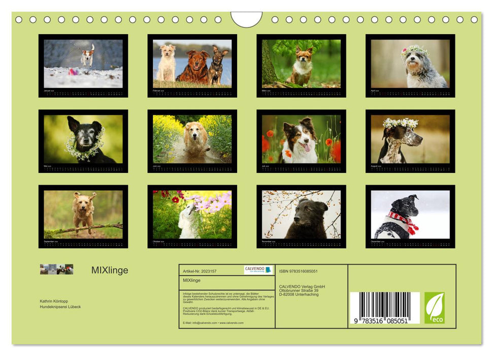 MIXlinge (CALVENDO Wandkalender 2026)