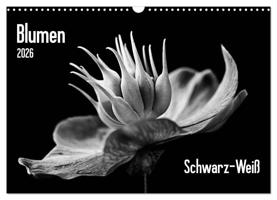 Blumen 2026, Schwarz-Weiß (CALVENDO Wandkalender 2026)