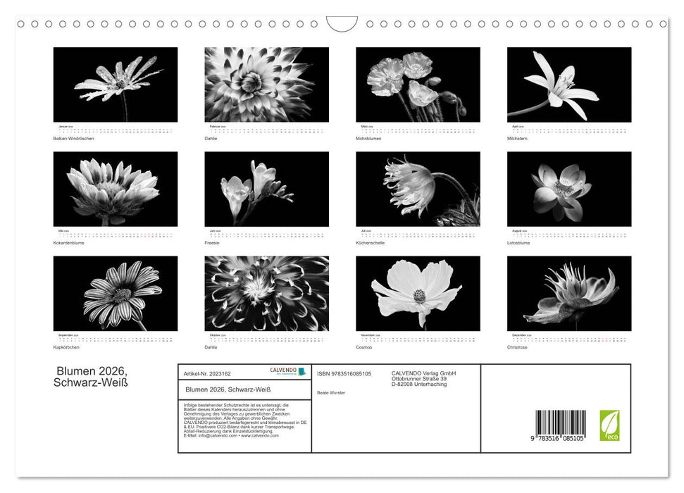 Blumen 2026, Schwarz-Weiß (CALVENDO Wandkalender 2026)