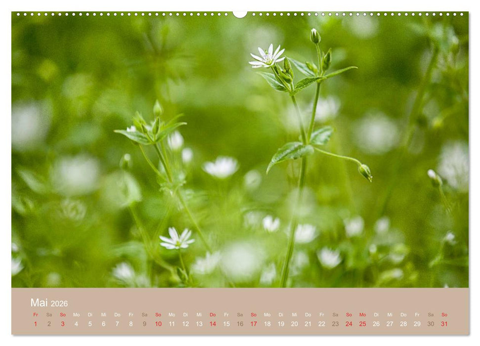 WILDE NAHRUNG (CALVENDO Premium Wandkalender 2026)