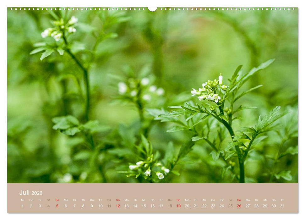 WILDE NAHRUNG (CALVENDO Premium Wandkalender 2026)