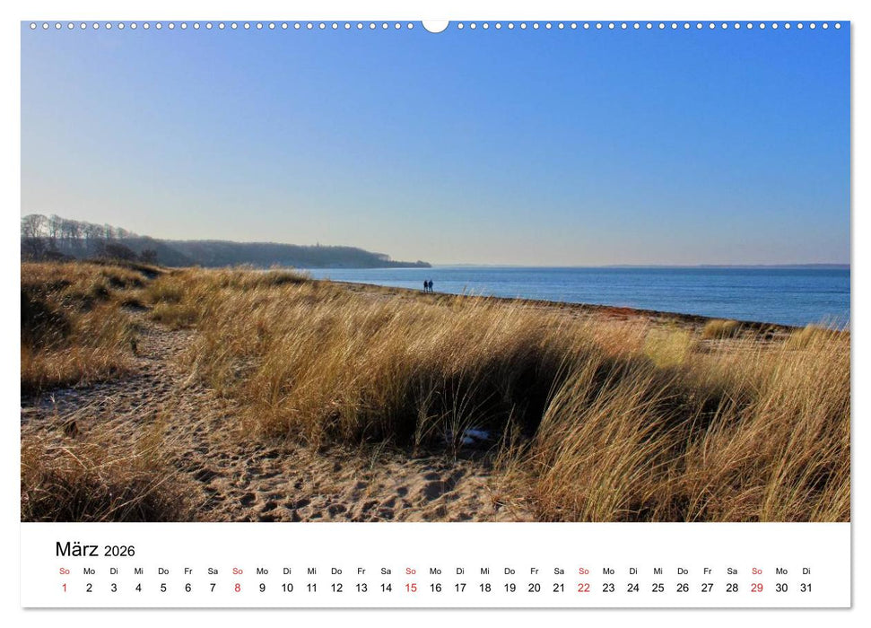 Ostseeküste 2026 (CALVENDO Premium Wandkalender 2026)