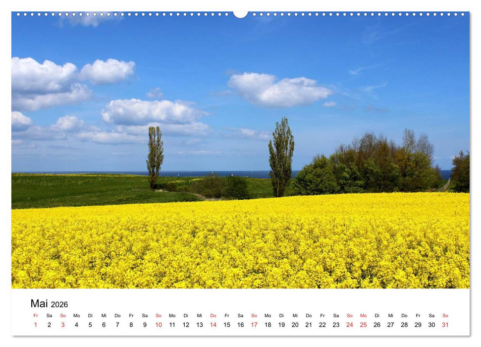 Ostseeküste 2026 (CALVENDO Premium Wandkalender 2026)