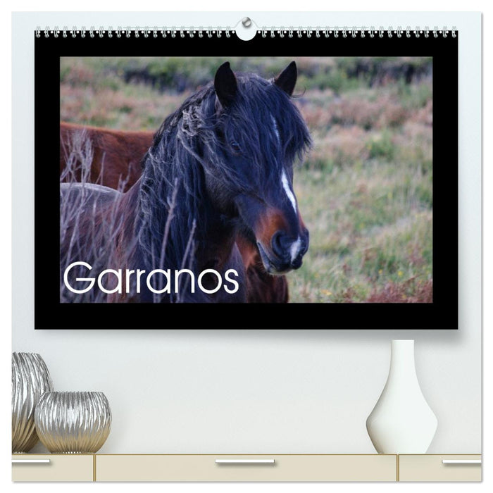 Garranos - Bedrohte Wildpferde Europas (CALVENDO Premium Wandkalender 2026)