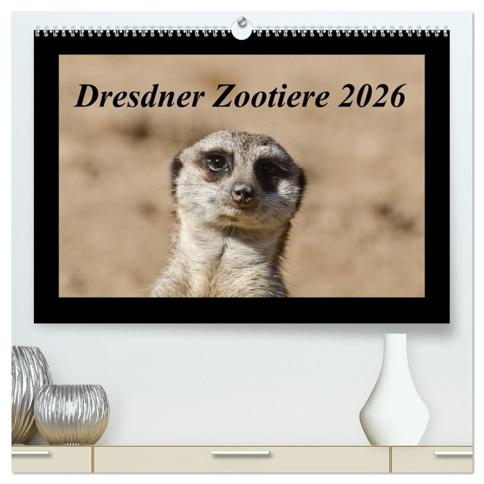 Dresdner Zootiere 2026 (CALVENDO Premium Wandkalender 2026)