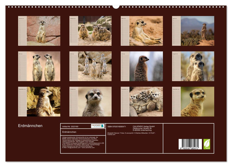 Erdmännchen (CALVENDO Premium Wandkalender 2026)