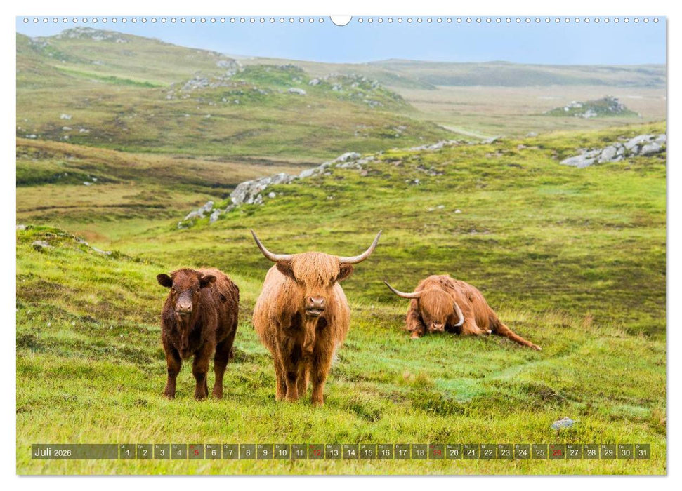 Quer durch Schottland (CALVENDO Premium Wandkalender 2026)