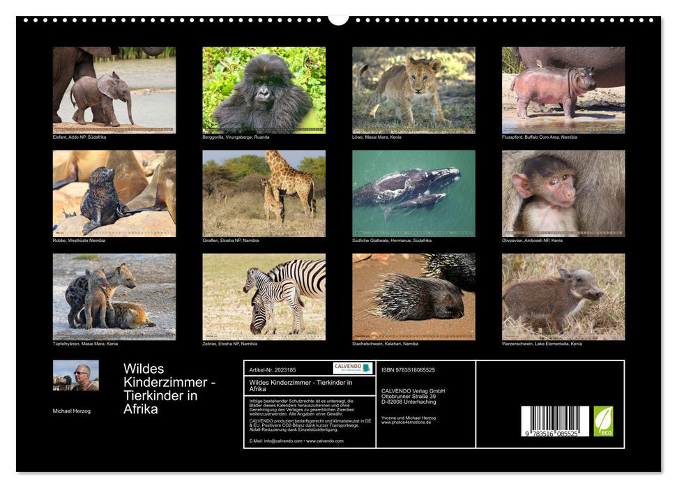 Wildes Kinderzimmer - Tierkinder in Afrika (CALVENDO Premium Wandkalender 2026)