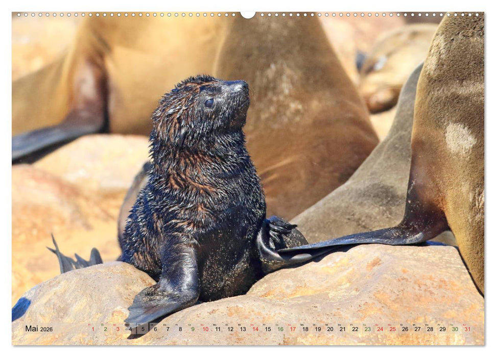 Wildes Kinderzimmer - Tierkinder in Afrika (CALVENDO Premium Wandkalender 2026)