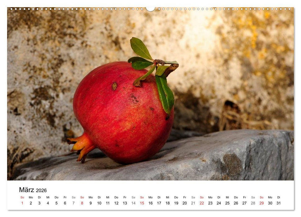 Peloponnes Impressionen / 2026 (CALVENDO Premium Wandkalender 2026)