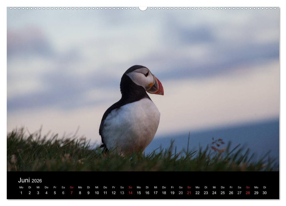 Island - Iceland - Ísland (CALVENDO Premium Wandkalender 2026)