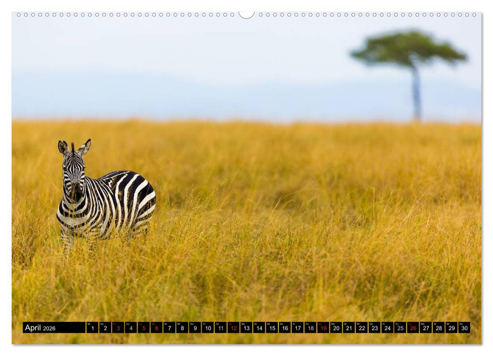 Masai Mara 2026 (CALVENDO Premium Wandkalender 2026)