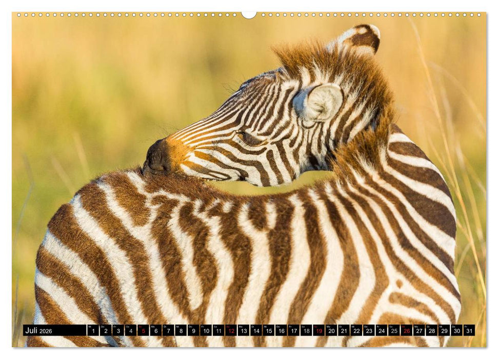 Masai Mara 2026 (CALVENDO Premium Wandkalender 2026)