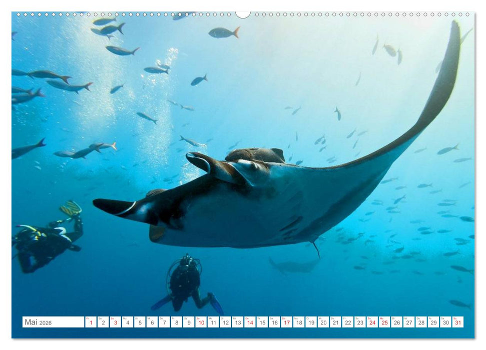 Malediven - Traumstrände im Paradies (CALVENDO Premium Wandkalender 2026)