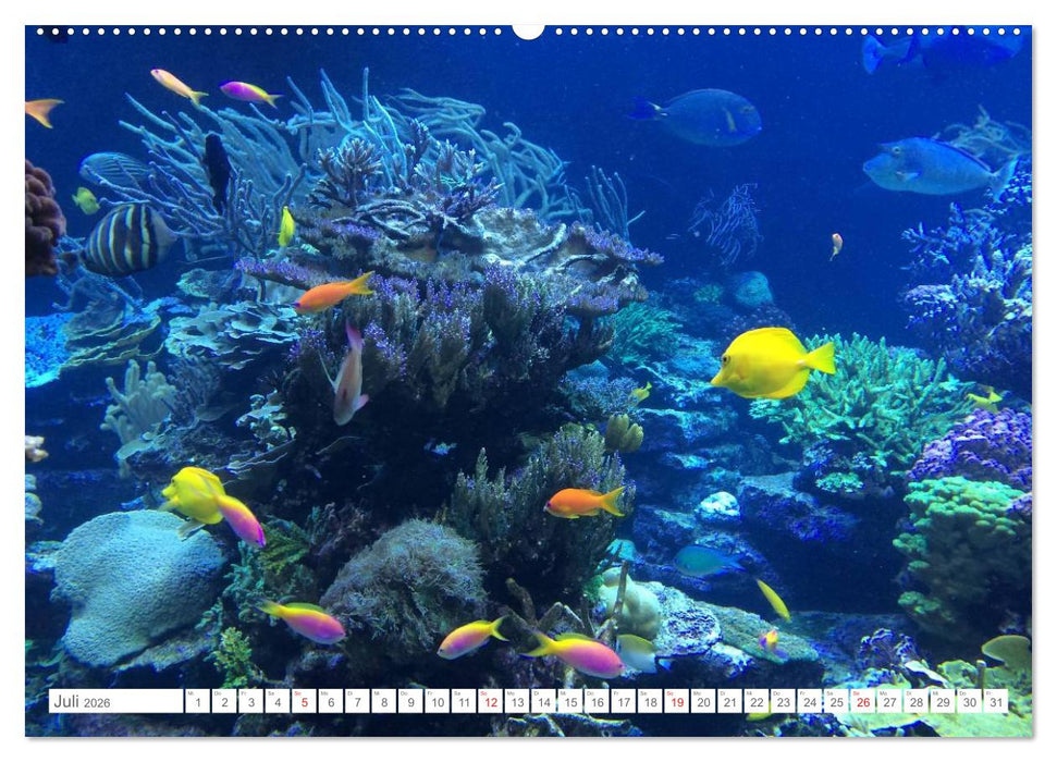 Malediven - Traumstrände im Paradies (CALVENDO Premium Wandkalender 2026)