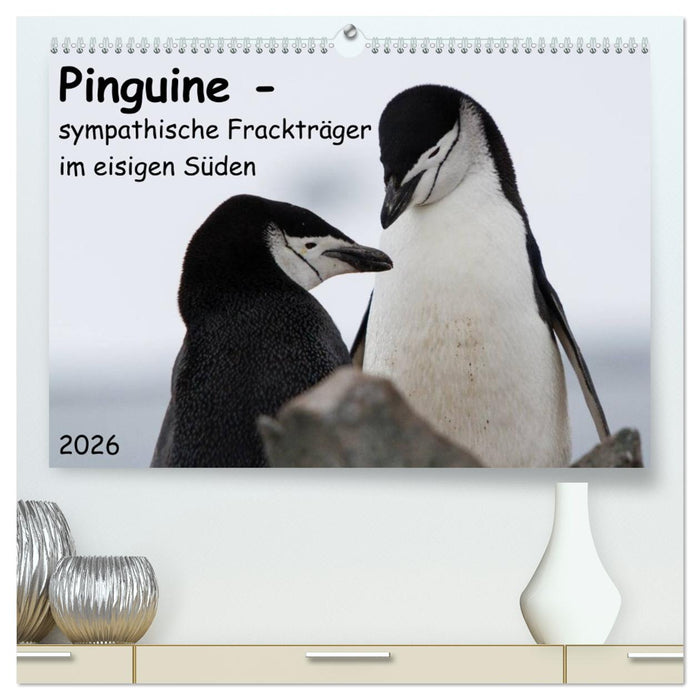 Pinguine - sympathische Frackträger im eisigen Süden (CALVENDO Premium Wandkalender 2026)