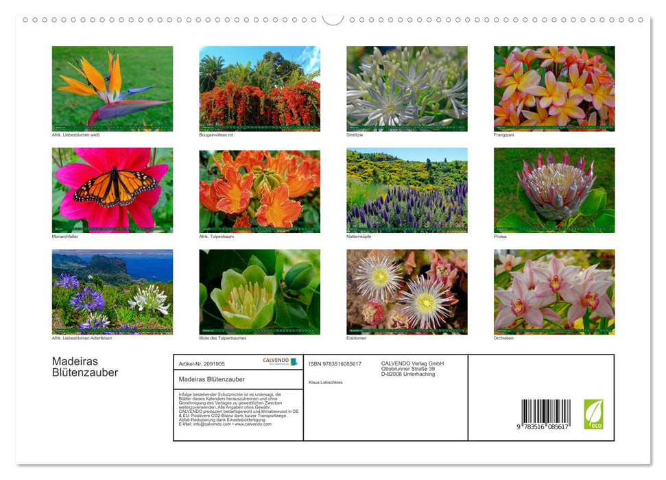 Madeiras Blütenzauber (CALVENDO Premium Wandkalender 2026)