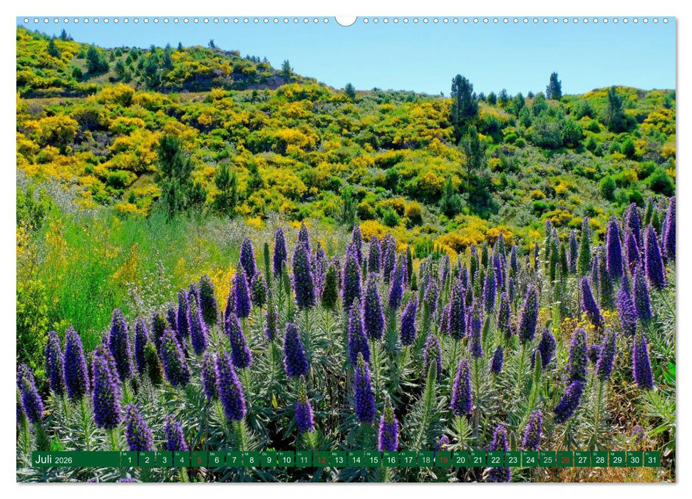 Madeiras Blütenzauber (CALVENDO Premium Wandkalender 2026)