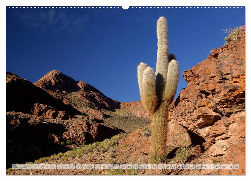 Argentinien Christian Heeb (CALVENDO Premium Wandkalender 2026)