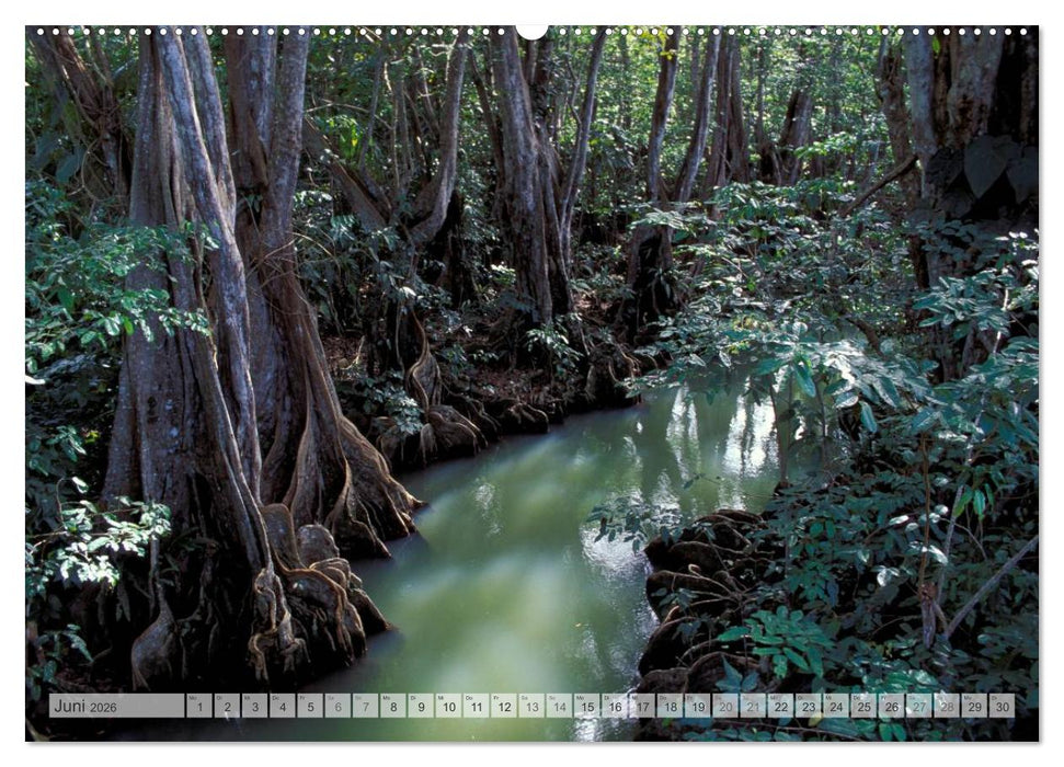 Trauminseln Karibik Christian Heeb (CALVENDO Premium Wandkalender 2026)