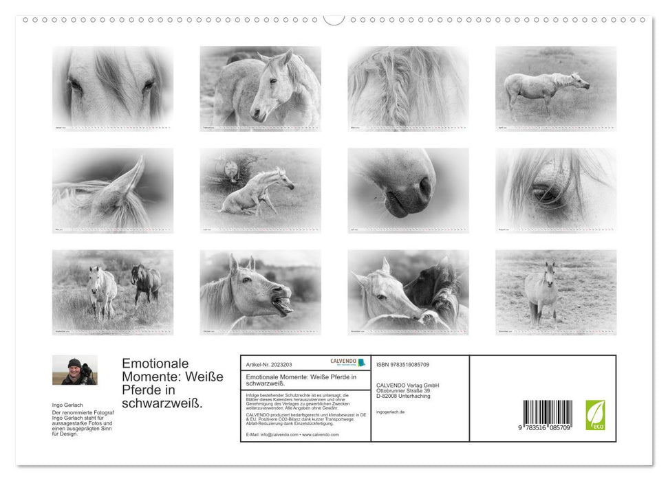 Emotionale Momente: Weiße Pferde in schwarzweiß. (CALVENDO Premium Wandkalender 2026)