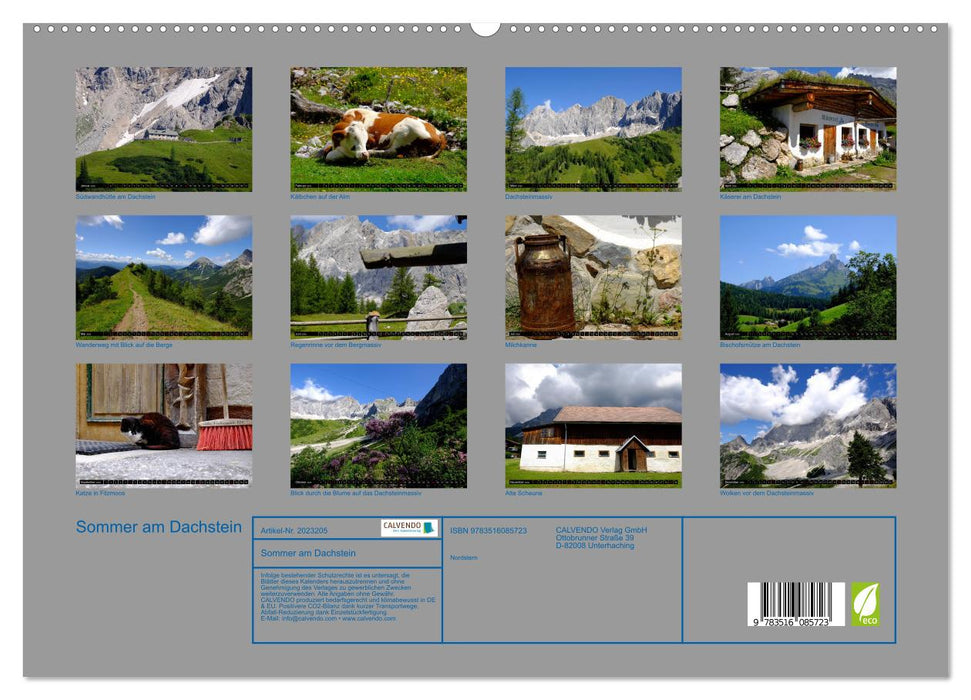 Sommer am Dachstein (CALVENDO Premium Wandkalender 2026)