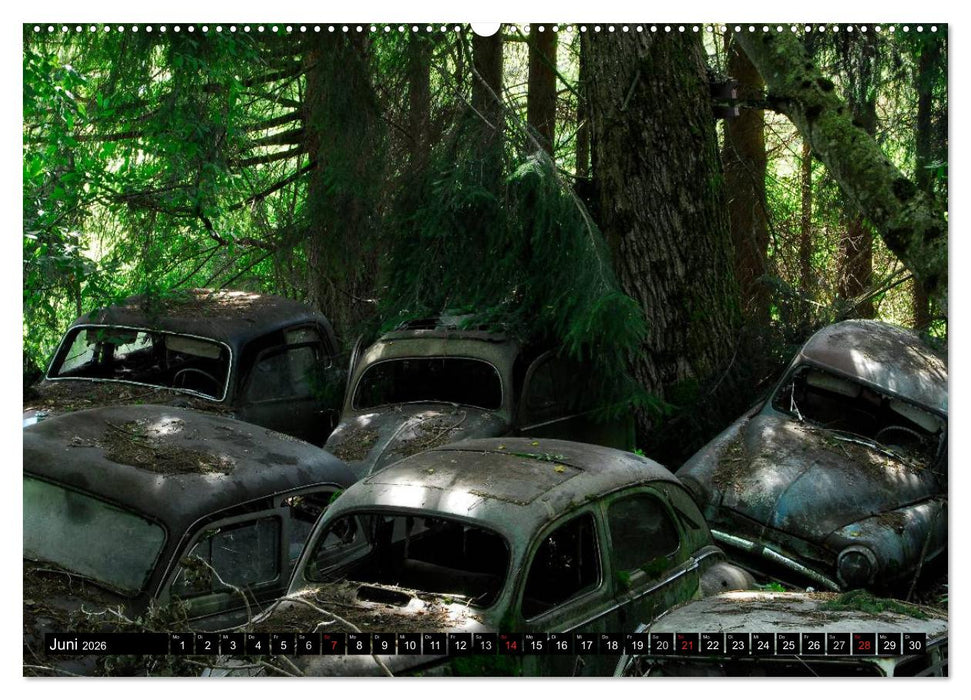 Autowracks - rostende Liebe (CALVENDO Premium Wandkalender 2026)