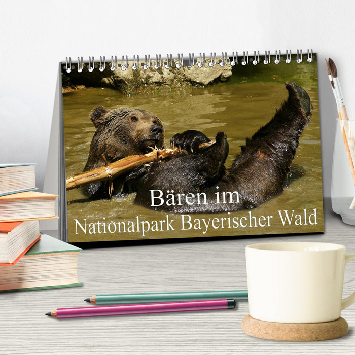 Bären im Nationalpark Bayerischer Wald (CALVENDO Wandkalender 2026)