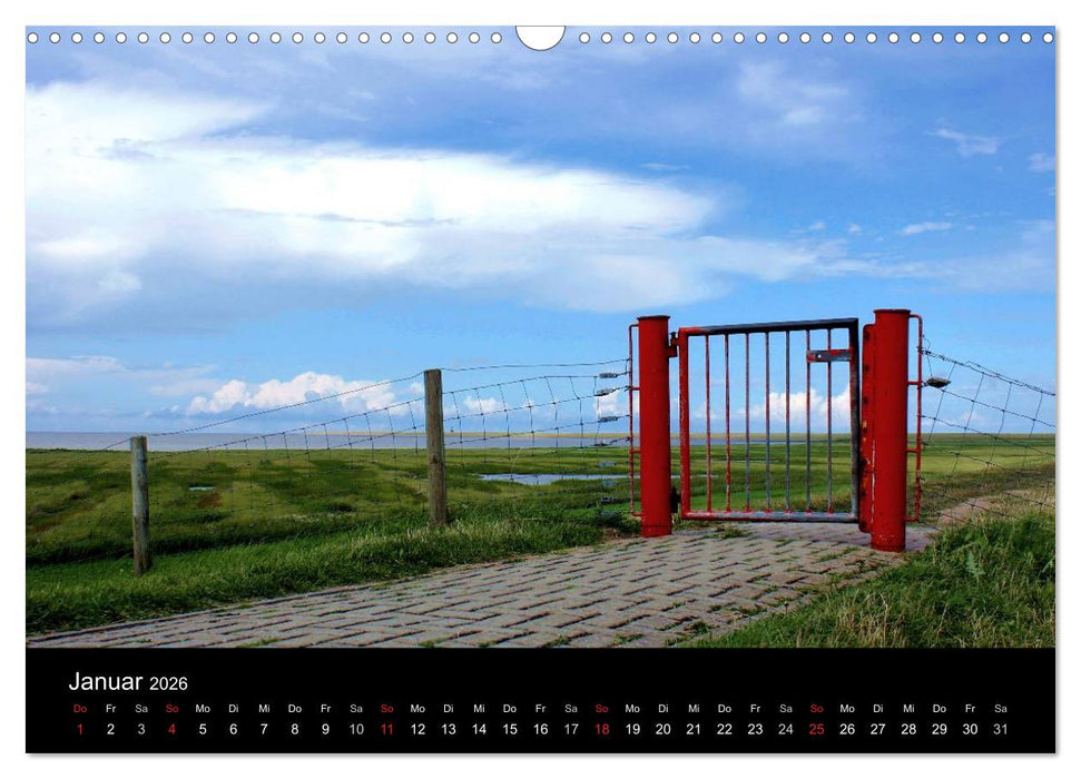 Ostfriesland verzaubert! (CALVENDO Wandkalender 2026)