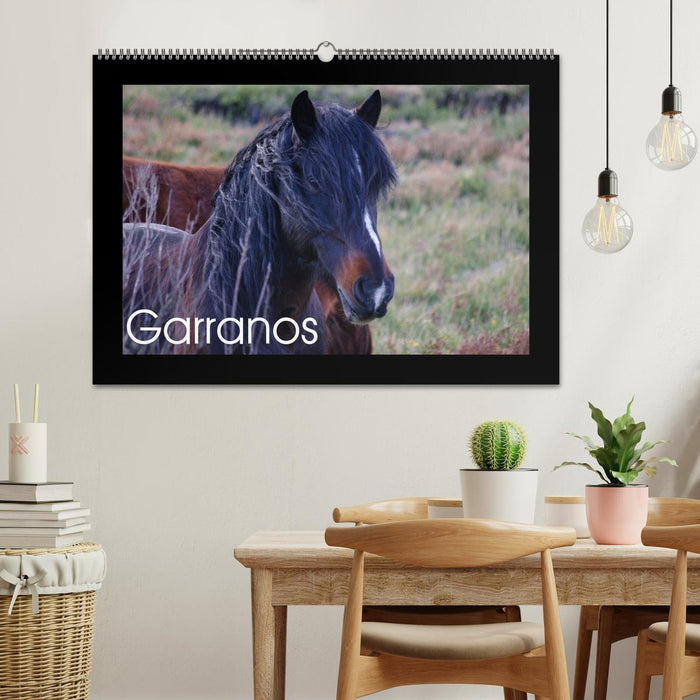 Garranos - Bedrohte Wildpferde Europas (CALVENDO Wandkalender 2026)